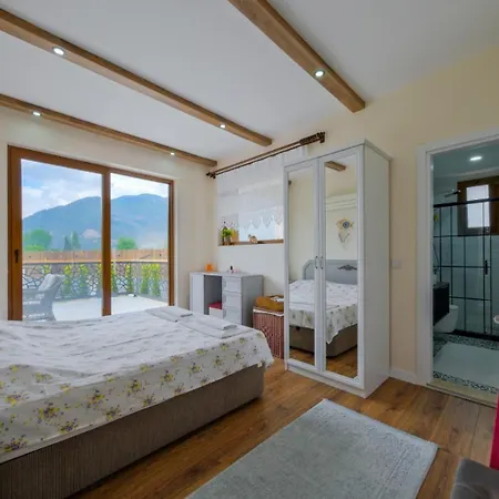 Villa Aleyna *